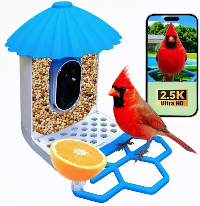 Smart bird feeder with blue roof and perch beside a phone showing a cardinal