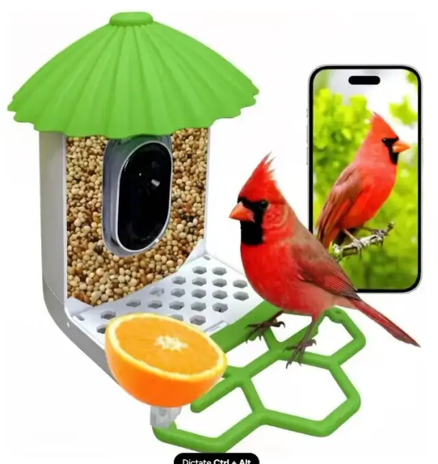 Smart bird feeder with green roof and perch beside a phone showing a cardinal